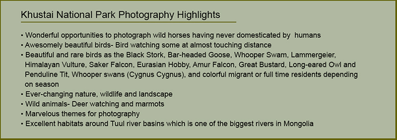 khustai national park 